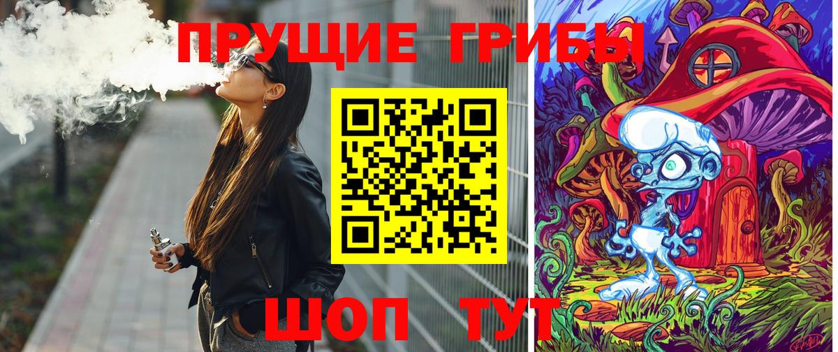 Псилоцибиновые грибы Psilocybe  Вход с VPN  Видное 